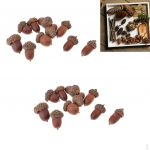 20 Rustic Dried Acorns Christmas Decoration Floral craft Table Ornament