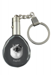 Ragdoll - Fob with cat photo, crystal key ring in gift box, unique gift by Art-Dog brand puhas