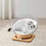 Cat Bed in Space Capsule Shape, for Indoor Use, Cats And Kittens, Hammock, Universally Applicable, square without pad