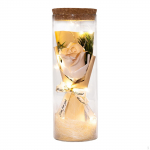 Rose Flower in Glass Gift for Women I Love You Craft Tabletop Decoration Christmas Style A