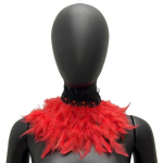 Paabulinnu sulgedest sall K&auml;sitsi valmistatud gooti keeb reguleeritava pitslipsu gradiendiga, v&auml;rvi sulgedega n&auml;okrae tantsupeo aksessuaarid beež