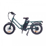 Gogobest GF200 T&auml;iskasvanute V&auml;litingimustes E-jalgratas 48V 15,6Ah Aku 500W Mootor Linnane Elektriline Maastikuratas 20-tolline Maastiku Elektriline Jalgratas roheline