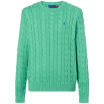 Polo Ralph Lauren &Uuml;hev&auml;rviline &Uuml;mmarguse Kaelusega Soonikkoes Kampsun Meeste kampsun Roheline 710775885-505 M blue