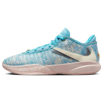 Nike LeBron 20 All-Star Meeste Tennised Sinine Sinine-V&auml;lk Kookospiim DV1191-400 41 gray