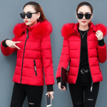 Talvine uus l&uuml;hike puuvillane mantel Slim Fit paksendatud suur villane krae puuvillane mantel sulejoped M punane