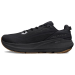Altra Fwd Via 2 Mugavad Jooksukingad Meeste tossud Must AL0A85SR-001 40 black