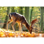 Teemanttikandid Metshirved Teemantmosaiik T&auml;is&uuml;mmargune maal Stitch Crystal Teemantmaal 20X30CM