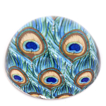 Les Tr&eacute;sors De Lily [R0849] - Rohekassinine  Peacock  klaasist paberipress - 78x40 mm sinine