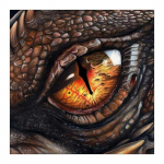 N&auml;put&ouml;&ouml; Teemanttikandid Dragon Eyes 5D Teemantmaali mosaiik Pilt K&auml;sitsi valmistatud kodukaunistus 20X30CM