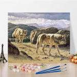 DIY maalimine numbrite j&auml;rgi Digitaalne &otilde;limaal Kodukaunistuse numbrid &Otilde;limaal Kujutav kunst &Otilde;limaal Hobid Numbrite maalimine 40x50cm no frame