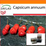 SAFLAX - Aed kotis - T&scaron;illi - Peter Peppers Peenis T&scaron;illi - 10 seemet - Substraadiga sobivas p&uuml;stijas kotis - Capsicum annuum