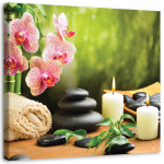 L&otilde;uendiprindiga Orchid Flower Zen Spa k&uuml;&uuml;nlad 30x30 roheline