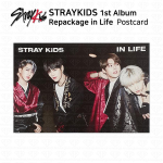 Stray Kids 1. albumi &uuml;mberpakendamine elu jooksul Fotokaart Postkaart KPOP K-POP Postcard B