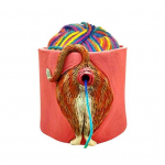 Naljakas kassi tagumikuga l&otilde;ngakauss auguga K&auml;sitsi valmistatud kudumiseks heegeldatud l&otilde;ngapallide hoiukoht B