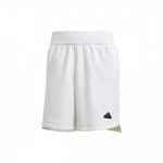 Adidas ZNE. Seeria Elastne Logo L&uuml;hikesed P&uuml;ksid Meeste Alaosad Valge IN5098 S