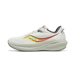 Saucony Triumph 21 Fog Bough Meeste Tennised Valge S20881-111 46.5