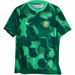 Nike 2025 Beijing Guoan Eelm&auml;ngu logo &Uuml;mmargune kaelus Treening Kitsa l&otilde;ikega L&uuml;hikeste varrukatega Jalgpallis&auml;rk Meeste s&auml;rgid Roheline HM5716-302 M