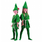 COS Halloweeni Roheline Elf ja Robin Hoodi Kost&uuml;&uuml;m T&auml;iskasvanutele ja Lastele: Peter Pan ja Tinkerbelli teema. One Size
