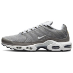 Nike Air Max Plus SE Flat Pewter Meeste Tennised Hall Photon-Dust Must DV7665-002 40.5