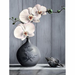 T&auml;ielik 5D teemantmaaling valge orhidee teemanttikandid t&auml;ispistes ristpistes kodukaunistus k&auml;sitsi valmistatud kingitus 20x30cm
