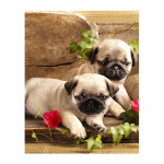 5D Teemantmaaling Kaks kutsikat Teemanttikandid Ristpistes Kodukaunistus K&auml;sitsi valmistatud kingitused Round 20x30cm