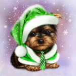 5D DIY teemantmaal Yorkshire'i terjer t&auml;isring puur Pilt rhinestones teemanttikandist 30x30CM kuld