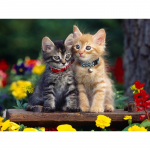 DIY 5D Teemantmaaling Kassi lemmikloom Teemantmosaiik Ristpistekomplektid Kodukaunistus T&auml;is&uuml;mmargune teemanttikandid Round 20x30cm