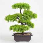 Simulatsioonitaime bonsai sise- ja v&auml;listingimustes lillepottidega kodu loominguline sisekujundus