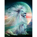 Teemantmaaling L&otilde;viristpistes mosaiik Teemanttikandid Loomad Rhinestone'i pildid Kodukaunistus Full Round 20x30CM