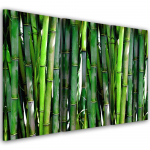 Kolmeosalise pildiga l&otilde;uendiprint Bamboo Forest Natura Green 60x40 roheline
