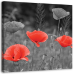 L&otilde;uenditr&uuml;kk Meadow Poppy Nature 30x30 punane