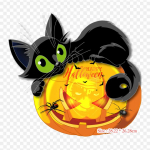 Black Cat Cat t&ouml;&ouml;lauatapeet Triikraud soojus&uuml;lekandel tr&uuml;kkimine Vin&uuml;&uuml;lplaastrid Kleebis riietele Ise ise teha aplikatsioonid pestavad plaastrid