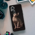 Lavaza Sphynx Sphinx Cat telefoni&uuml;mbris Huawei P Smart 2021 Y5 Y6 Y7 Y9 Honor 50 20 Pro 10 10I 9 9X Y9S 8 8A 8X 8S 7S kate jaoks Honor 9 Lite