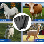 4 Pieces Fly Horse Boots Leggings Nylon Non Slip Easy to Use Reduce Stomping Lightweight Champagne Gold