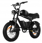 PIXAR Super -30AH Retro-stiilis Pika s&otilde;iduulatusega Elektrijalgratas 48V 30AH Aku 500W Mootor 20-tollised Paksud Rehvid Maastikuratas