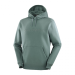 Salomon Hingav Mugav Kapuutsiga Pusa Pikkade Varrukatega Huppar Meeste hupparid Helehall-Roheline LC2525300 S