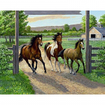 5D Teemantmaal Ristpistes Maastikuvaigust Teemanttikandid Teemantmosasik n&auml;put&ouml;&ouml; 20X30CM