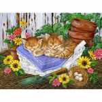 Ristpistete komplekt DIY Teemanttikandid magav kass T&auml;is&uuml;mmargune teemantmaaling Mosaiik Kodukaunistus 20X30CM