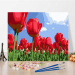 DIY maalimine numbrite j&auml;rgi Kunst Digitaalne &otilde;limaal Kodukaunistamine Hobid Numbrite maalimine K&auml;sit&ouml;&ouml; 40x50cm no frame