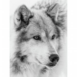 5D Teemantmaal Valge Hundi Teemanttikandid Ristpistes Kodukaunistus K&auml;sitsi valmistatud kingitused Round 20x30cm