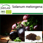 SAFLAX - Orgaaniline - Baklažaan - Black Beauty - 25 seemet - Potisubstraadiga paremaks kasvatamiseks - Solanum melongena