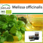 SAFLAX - Aed kotis - Orgaaniline - Sidrunmeliss - 1000 seemet - Substraadiga sobivas p&uuml;stijas kotis - Melissa officinalis