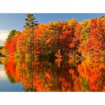 Isetegija 5d teemantmaali maastik kivikivid pildid maastiku teemantmosaiik m&uuml;&uuml;k Kodukaunistuse k&auml;sit&ouml;&ouml;komplekt Full Round 20x25CM