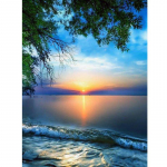 DIY Dolphin 5D Teemantmaal t&auml;isring puur Loom Teemanttikandid Ristpistes Mosaiik Vaigust Seinakunst Kodukaunistuse kingitus Full Round 20x30CM