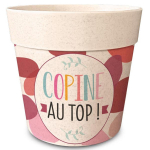 Les Tr&eacute;sors De Lily [R6639] &ndash; bambusest istutusmasin 'Copine au Top! 'beež roosa - 14x12 cm Heleroosa