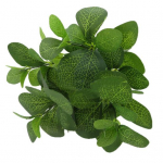 1 tk tehislehttaime lilleseade DIY aiapeo kodu pulmakaunistus punane