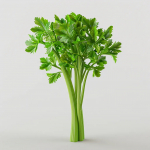 250 sellerioksa seemet