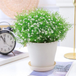 8 tk Avatud Lillepoti Dekor Bonsai Taimestik Poti Potid Dekoratiivne Aiandus Poti Taimestik Alustassiga Vaasid Lillede jaoks Komplekt B valge