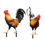 Akr&uuml;&uuml;list kukekaunistused Chicken Yard Art Aiakaunistused, sisekujundus aedade tagahoovide jaoks, 2tk