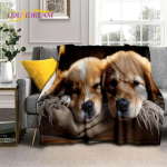 Armas koer Samojeed, Chihuahua, Husky, Korgi Multikas Pehme Flanell-tekk Voodite, Magamistoa, Diivani, Pikniku jaoks, Visketekk V&auml;litingimustes Vaba aja veetmiseks 30x40in